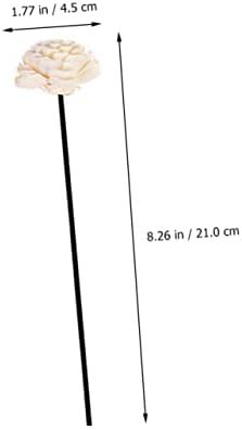 Healifty 3Pcs Rattan Dried Flower Aromatherapy Diffuser Sticks for Home Fragrance Stylish Decor Accessory