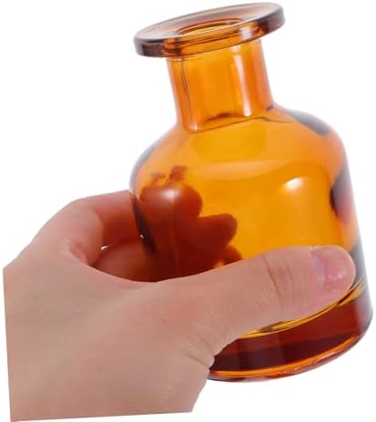 Anneome 2pcs Glass Diffuser Bottles Caps Aromatherapy Vase