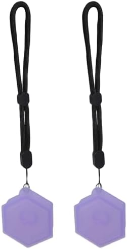 2pcs Fruit Scent Pods Storage Case With Hanging Rope Aromatic Box Replacement
