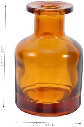 Anneome 2pcs Glass Diffuser Bottles Caps Aromatherapy Vase