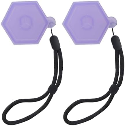 2pcs Fruit Scent Pods Storage Case With Hanging Rope Aromatic Box Replacement