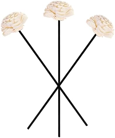 MAGICLULU 3Pcs Dried Flower Decor Sticks Aromatherapy Home Decor