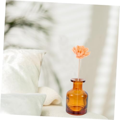 2pcs Glass Diffuser Bottles with Caps for Aromatherapy