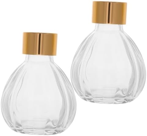 2pcs Diffuser Bottles Glass Containers for Essential Oils Home Decor