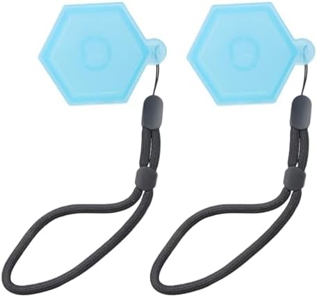 2pcs Fruit Scent Pods Storage Case with Hanging Rope