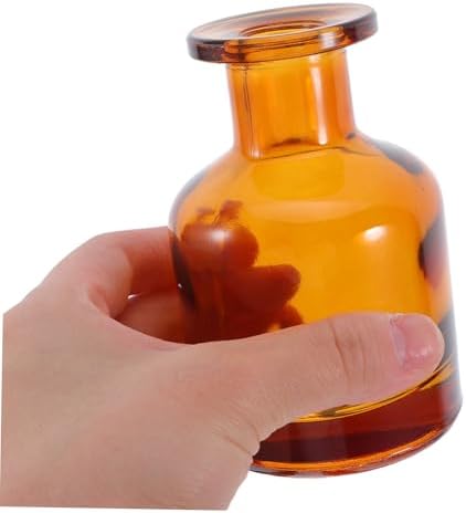 2pcs Glass Reed Diffuser Bottles Refillable Aromatherapy Sticks Holders for Home Office Car