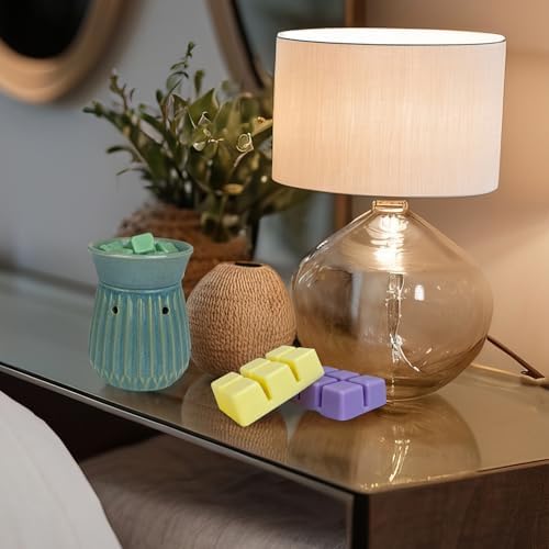 BINYUAN Summer Scented Wax Melts Set of 16
