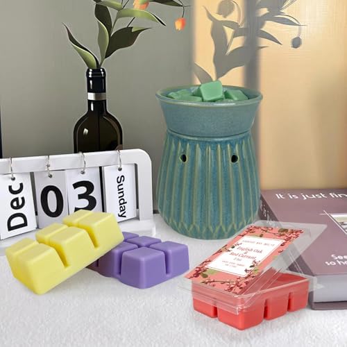 BINYUAN Summer Scented Wax Melts Set of 16