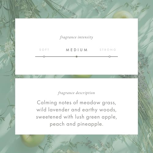 ScentAir Monthly Fragrance Cartridge for Whisper Home Emerald Meadows Pet Calming