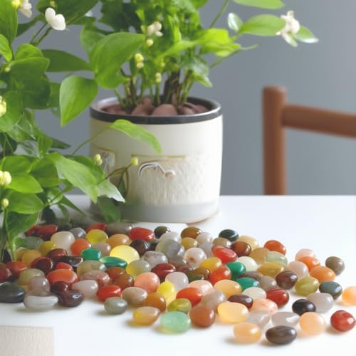 Decorative Landscaping Pebbles for Vases and Terrariums