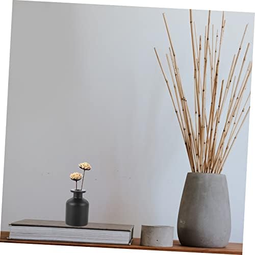 LIFKOME 2pcs Essential Oil Diffuser Bottle Aromatherapy Decor