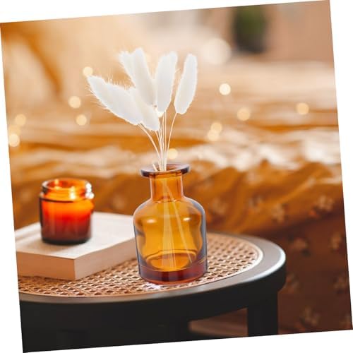 Anneome 2pcs Glass Diffuser Bottles Caps Aromatherapy Vase