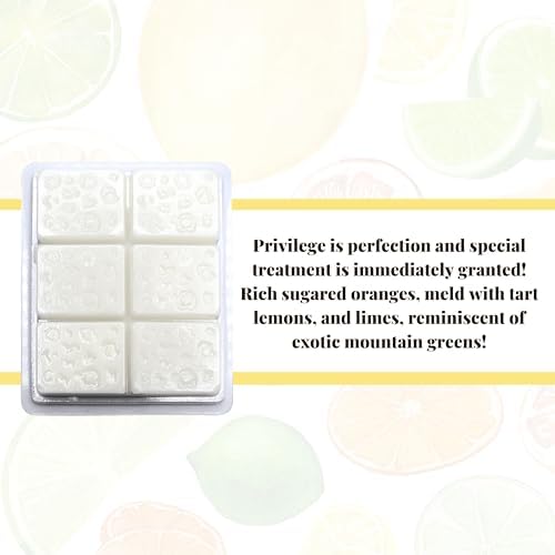 Worldwide Nutrition Bundle Tyler Entitled Scent Soy Wax Melts 4 Pack Keychain
