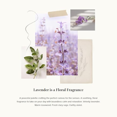 Thymes Lavender Fragrance Set with Mist and Candle