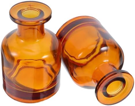 Anneome 2pcs Glass Diffuser Bottles Caps Aromatherapy Vase