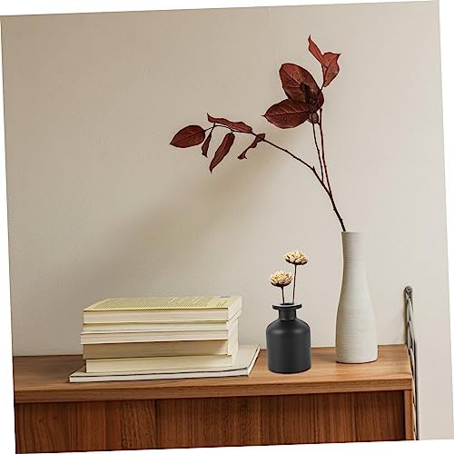 100ML Frosted Glass Aroma Diffuser Set 2-Piece