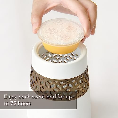 Serene House Beach Cottage No-Spill Wax Melt Pods 6-Pack