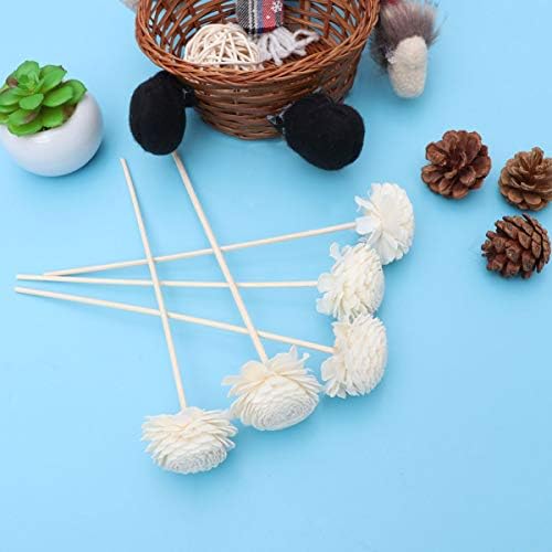 Ciieeo DIY Essential Oil Diffuser Sticks 5 Pack Natural Aroma