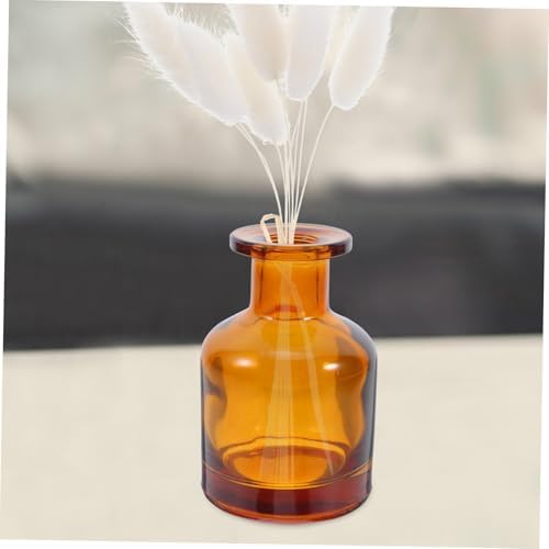 SMASOLO 2pcs Empty Glass Diffuser Bottles for Aromatherapy