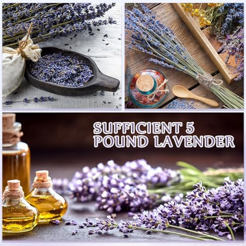Treela Dried Lavender Bulk for Home Fragrance Crafts and Wedding Gifts