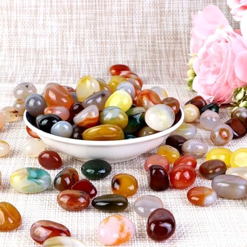 Decorative Landscaping Pebbles for Vases and Terrariums