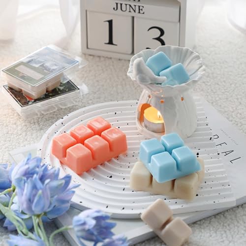 Summer Scented Wax Melts 6 Pack 25 Oz