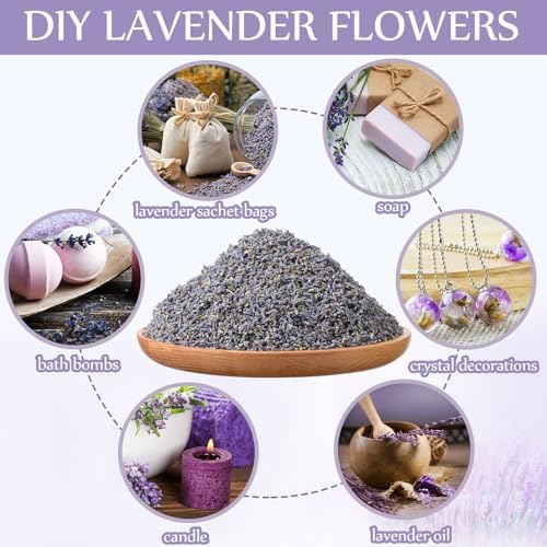 Treela Dried Lavender Bulk for Home Fragrance Crafts and Wedding Gifts