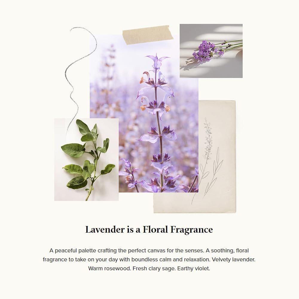 Thymes Lavender Fragrance Set with Mist and Candle