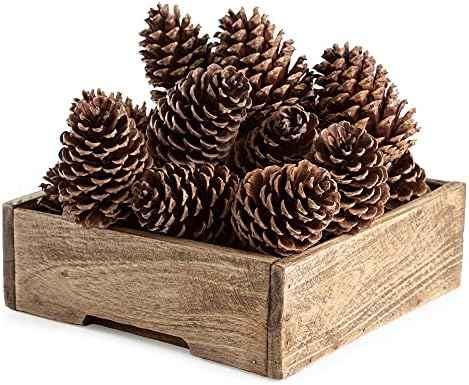 ANDALUCA Pinecone Vase Bowl Decor Natural Scented Pine Cones