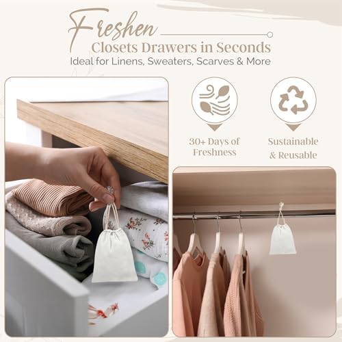 Scentnest DIY Home Fragrance Kit - Small Space Scenting