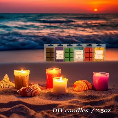 BINYUAN Summer Scented Wax Melts Set of 16