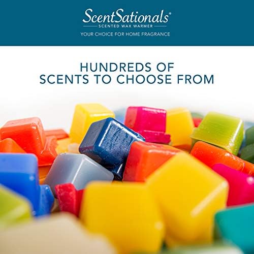Scentsationals Autumn Wax Melt Warmer - Cozy Fall Fragrance