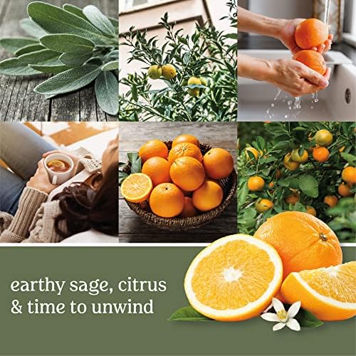 Yankee Candle Sage Citrus Votive Candle