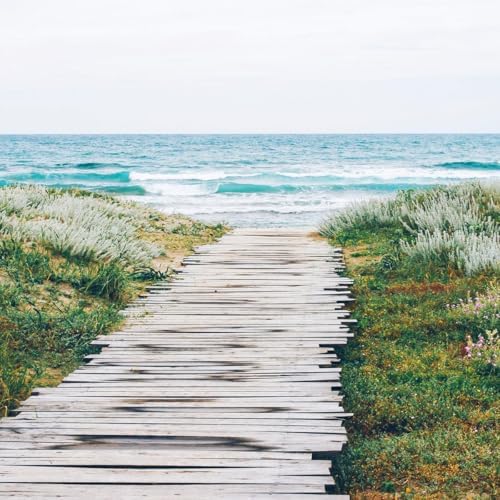 Aera Mini Diffuser with Beach House Refill - Alexa Compatible Family Safe 800-Hour Lasting Scent