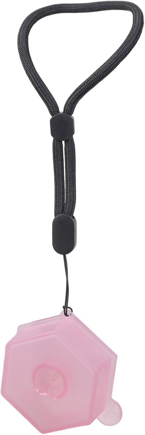 2pcs Fruit Scent Pods Storage Case with Hanging Rope
