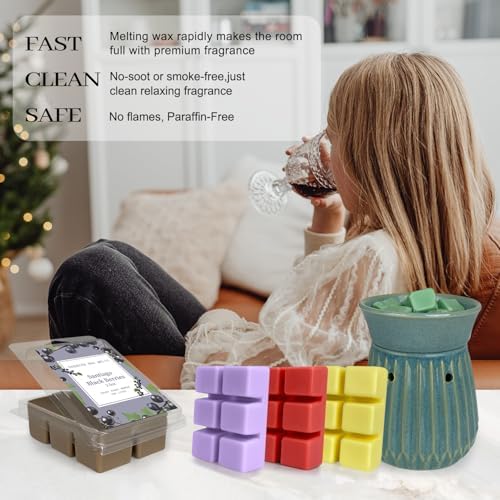 BINYUAN Summer Scented Wax Melts Set of 16