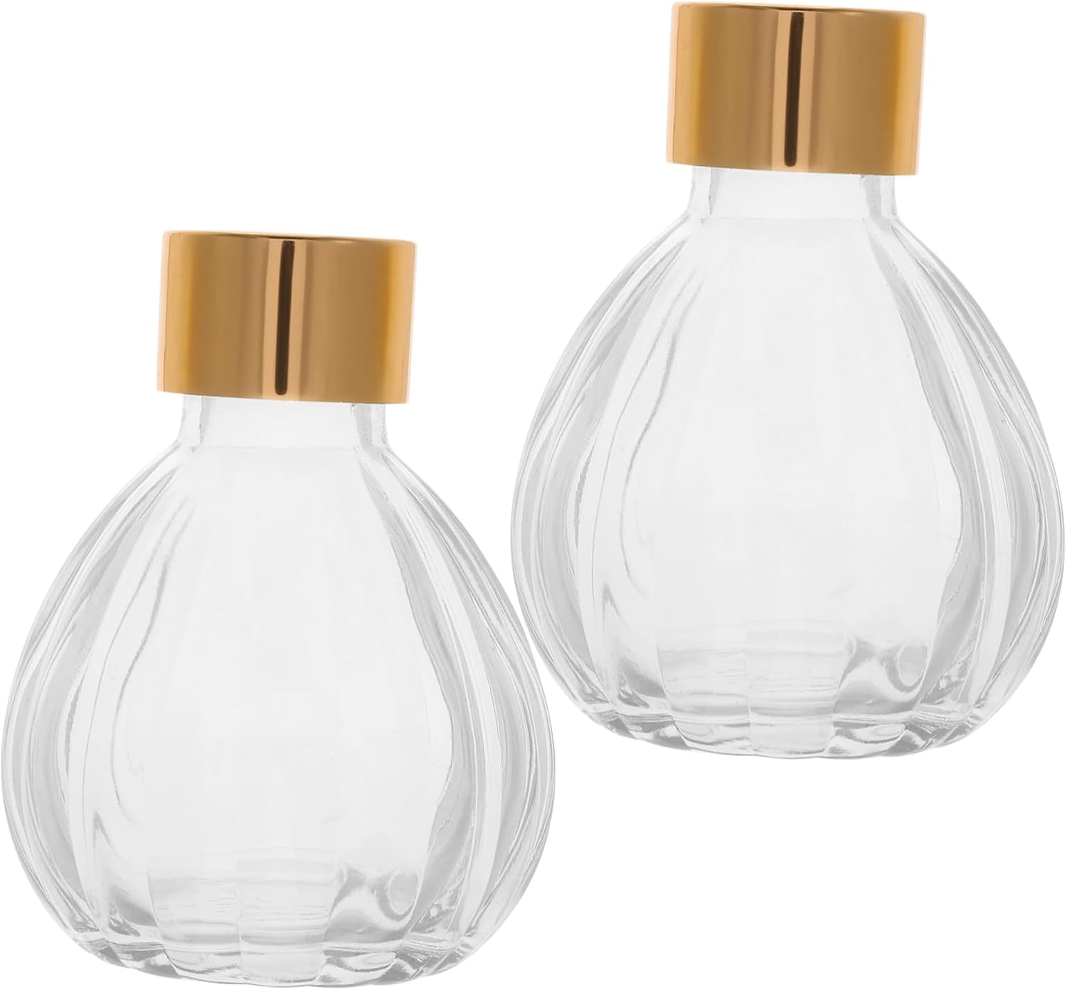 2pcs Diffuser Bottles Glass Containers for Essential Oils Home Decor