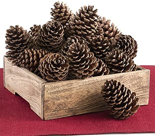 ANDALUCA Pinecone Vase Bowl Decor Natural Scented Pine Cones