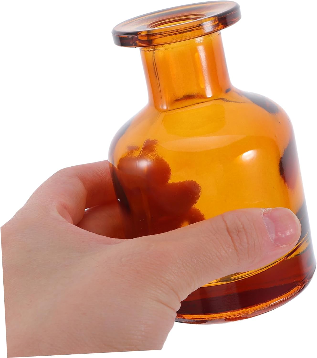 Anneome 2pcs Glass Diffuser Bottles Caps Aromatherapy Vase