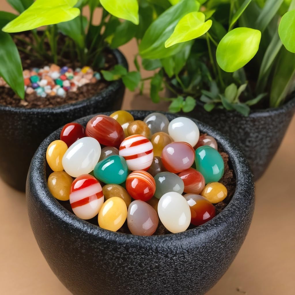 Decorative Landscaping Pebbles for Vases and Terrariums