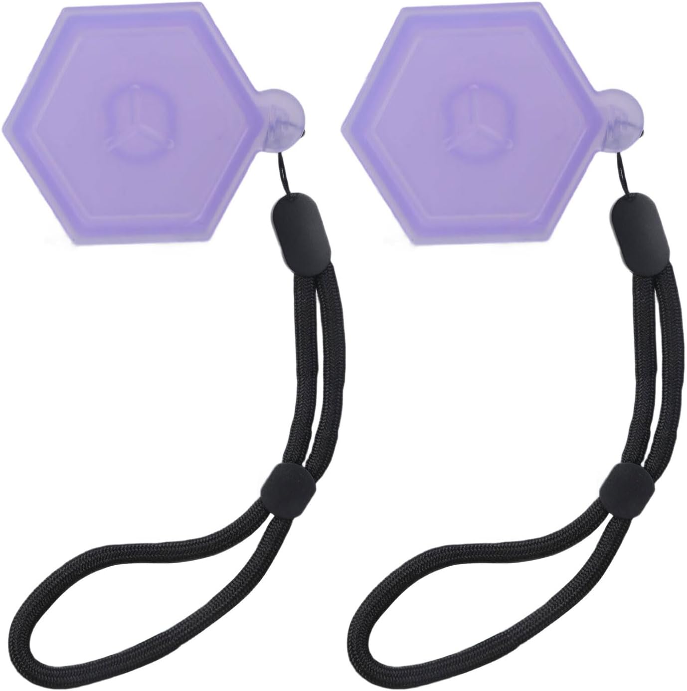 2pcs Fruit Scent Pods Storage Case With Hanging Rope Aromatic Box Replacement