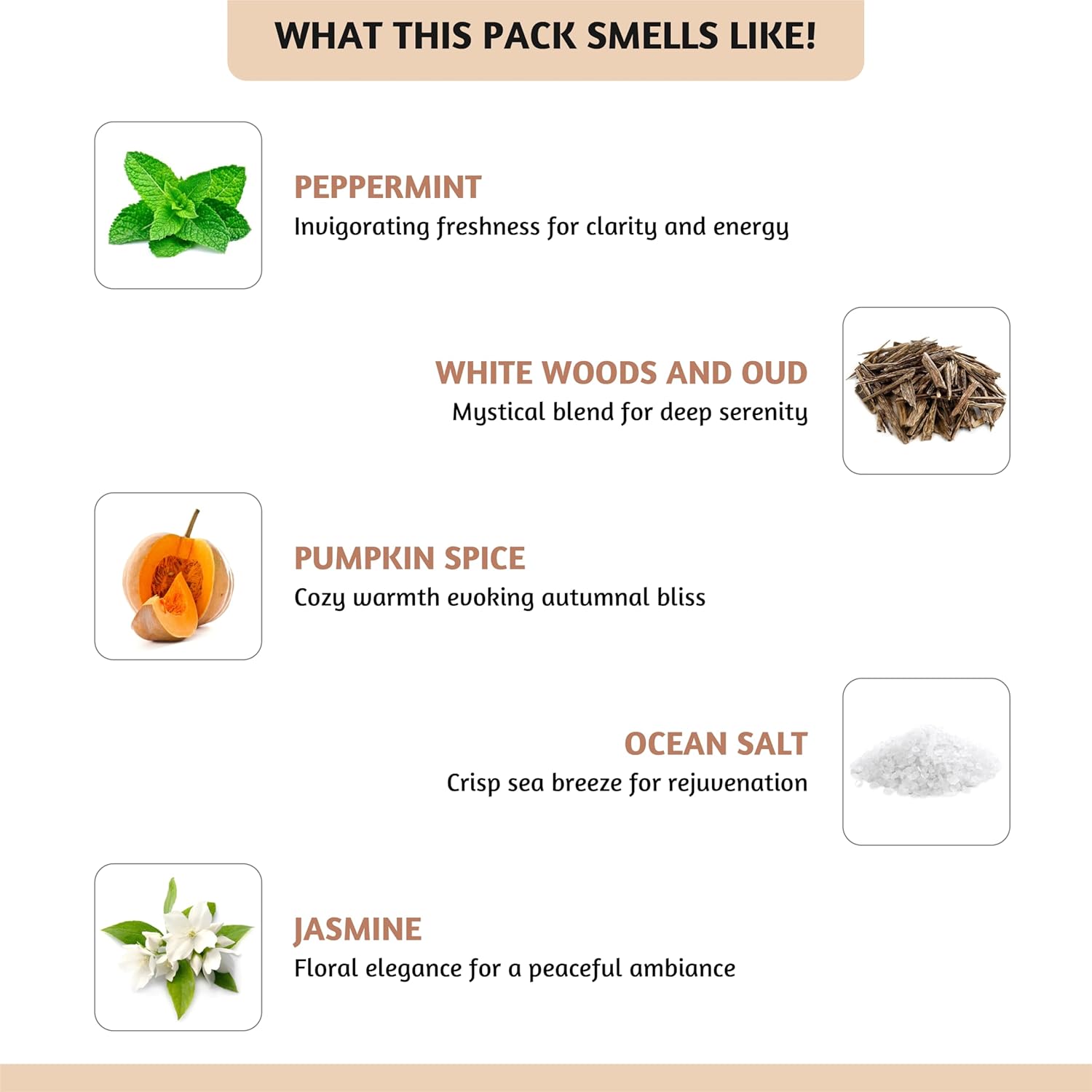 Folkulture Fall Scent Wax Melts Set of 5