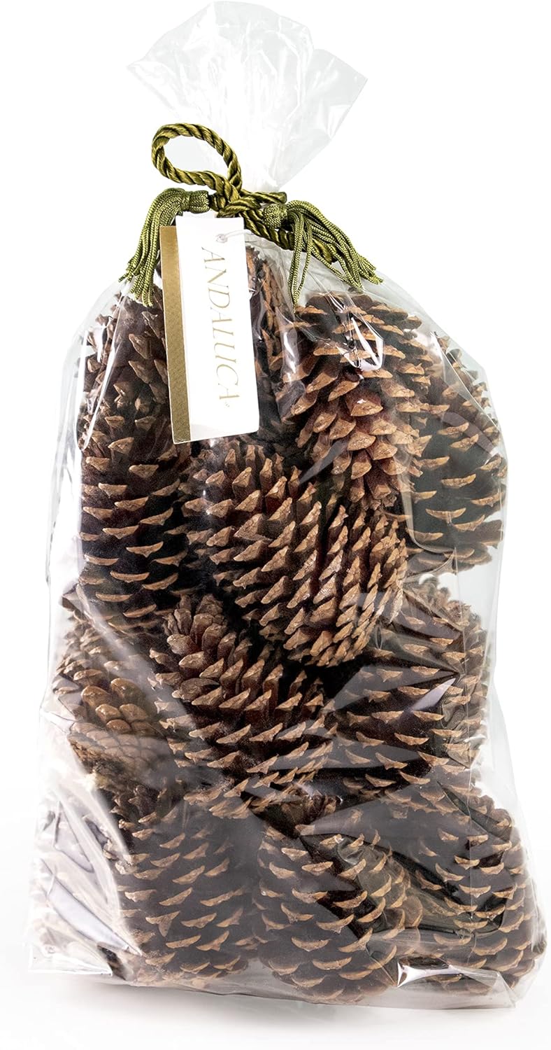 ANDALUCA Pinecone Vase Bowl Decor Natural Scented Pine Cones