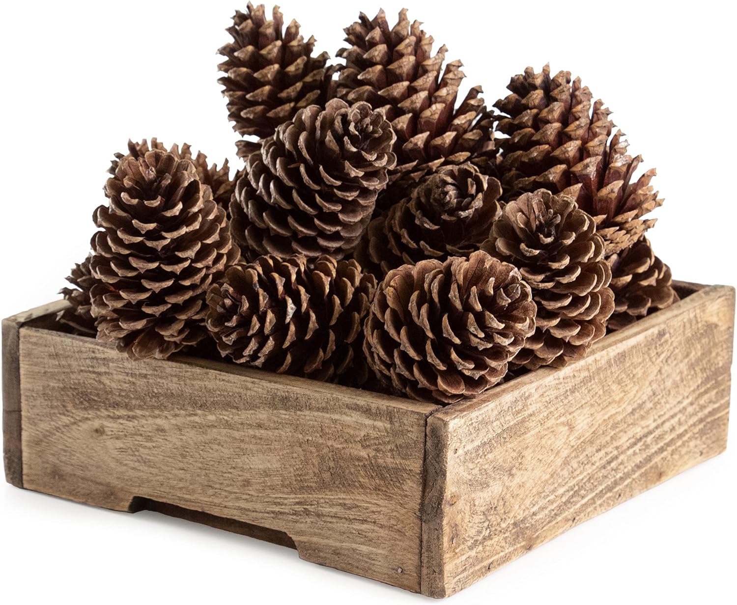 ANDALUCA Pinecone Vase Bowl Decor Natural Scented Pine Cones