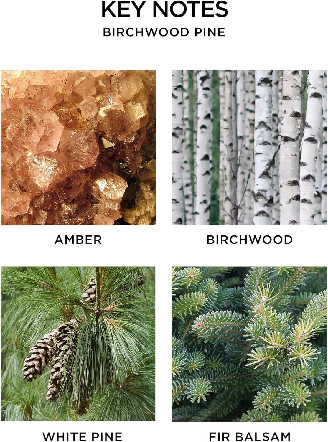 NEST New York Wall Diffuser Set Birchwood Pine