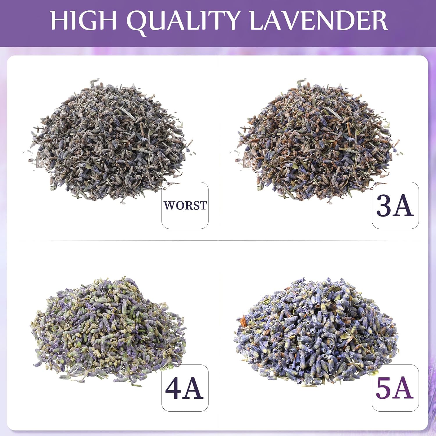 Treela Dried Lavender Bulk for Home Fragrance Crafts and Wedding Gifts