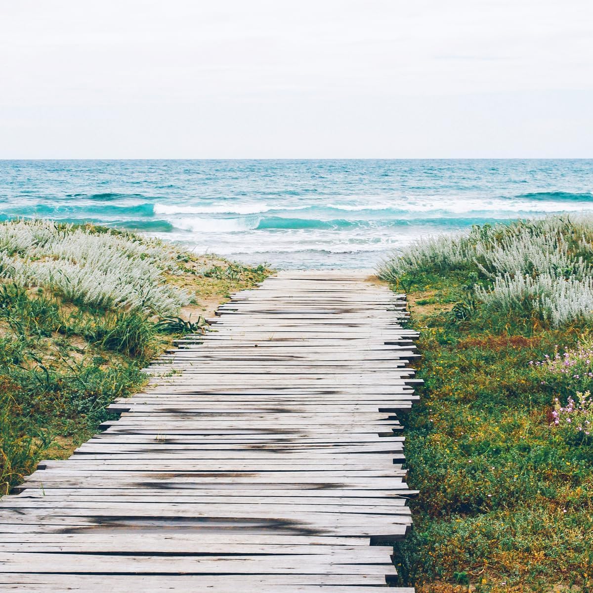 Aera Mini Diffuser with Beach House Refill - Alexa Compatible Family Safe 800-Hour Lasting Scent