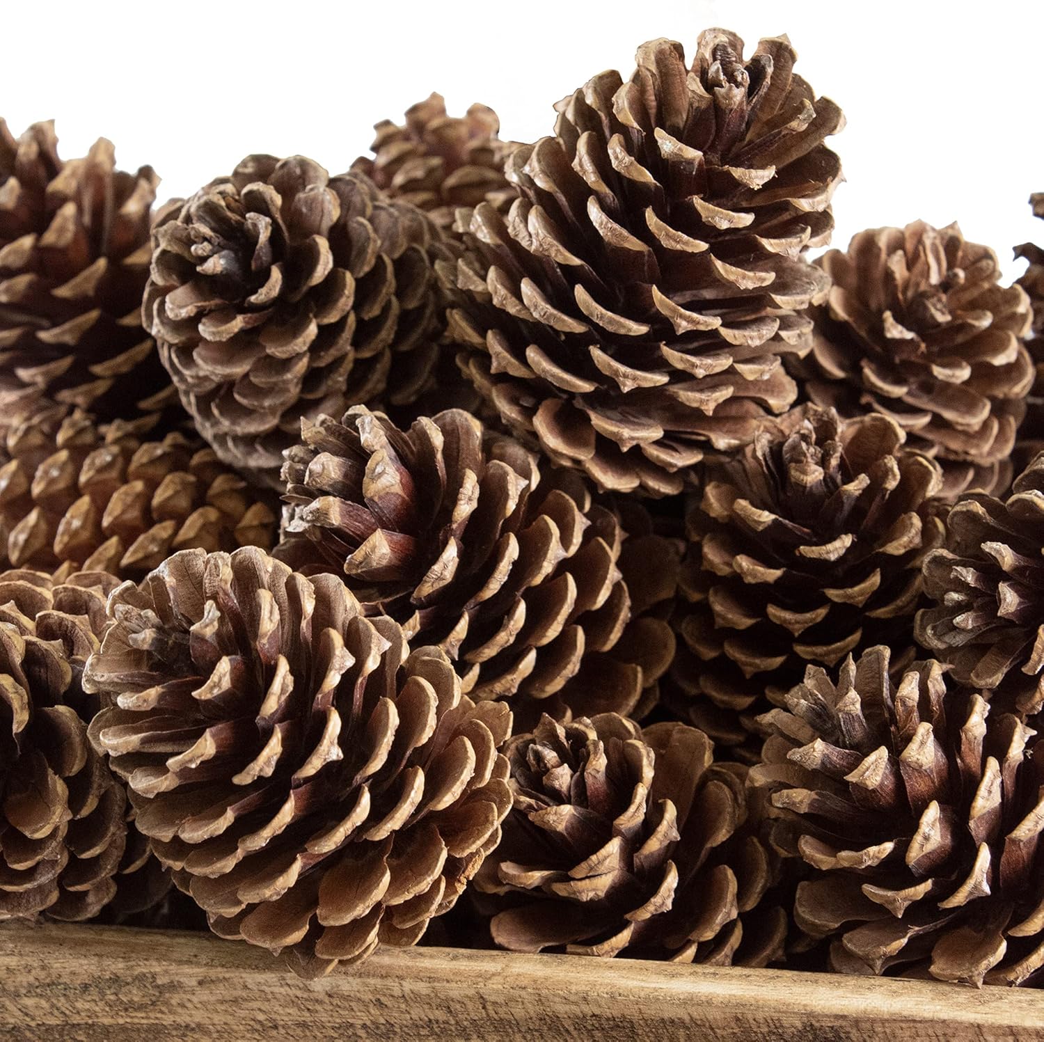 ANDALUCA Pinecone Vase Bowl Decor Natural Scented Pine Cones
